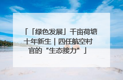 「绿色发展」千亩荷塘 十年新生｜四任航空村官的“生态接力”