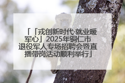「戎创新时代·就业暖军心」2025年铜仁市退役军人专场招聘会暨直播带岗活动顺利举行