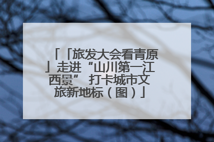 「旅发大会看青原」走进“山川第一江西景” 打卡城市文旅新地标（图）