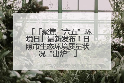 「聚焦“六五”环境日」最新发布！日照市生态环境质量状况“出炉”