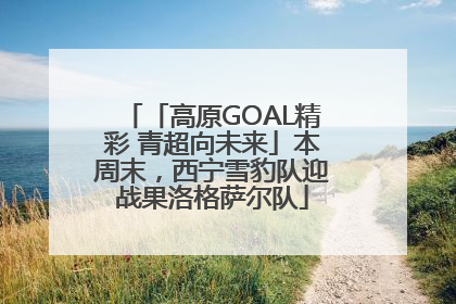 「高原GOAL精彩 青超向未来」本周末，西宁雪豹队迎战果洛格萨尔队