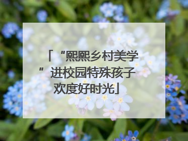 “熙熙乡村美学”进校园特殊孩子欢度好时光