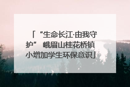 “生命长江·由我守护” 峨眉山桂花桥镇小增加学生环保意识