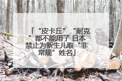 “皮卡丘”“耐克”都不能用了 日本禁止为新生儿取“非常规”姓名