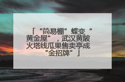 “简易棚”蝶变“黄金屋”，武汉黄陂火塔线瓜果售卖亭成“金招牌”
