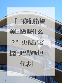“你们指望美国做些什么？”央视记者提问巴勒斯坦代表