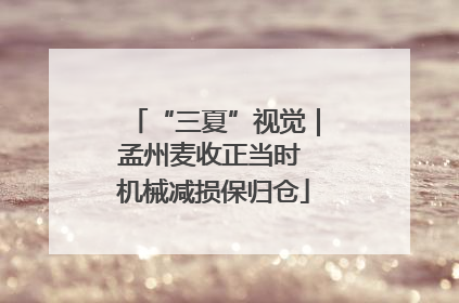 “三夏”视觉｜孟州麦收正当时 机械减损保归仓