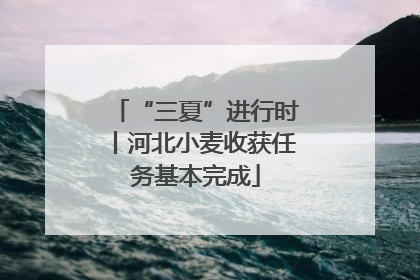 “三夏”进行时丨河北小麦收获任务基本完成