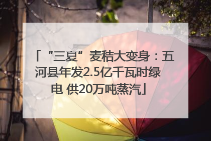 “三夏”麦秸大变身：五河县年发2.5亿千瓦时绿电 供20万吨蒸汽