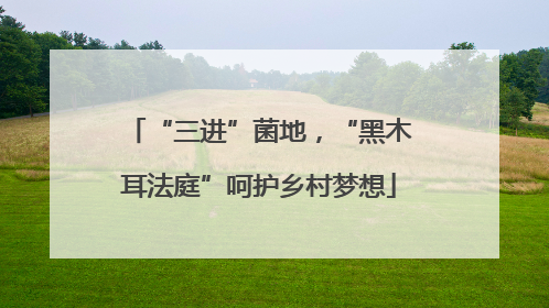 “三进”菌地，“黑木耳法庭”呵护乡村梦想