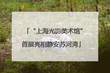 “上海光影美术馆”首展亮相静安苏河湾
