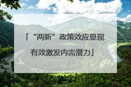 “两新”政策效应显现 有效激发内需潜力