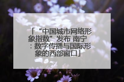 “中国城市网络形象指数”发布 南宁：数字传播与国际形象的西部窗口