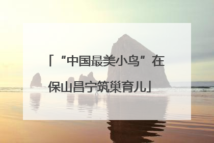 “中国最美小鸟”在保山昌宁筑巢育儿