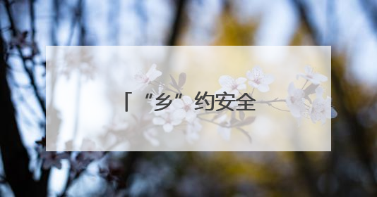 “乡”约安全零距离 守护出行“平安路”