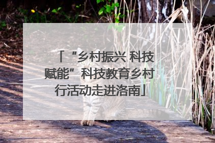 “乡村振兴 科技赋能”科技教育乡村行活动走进洛南
