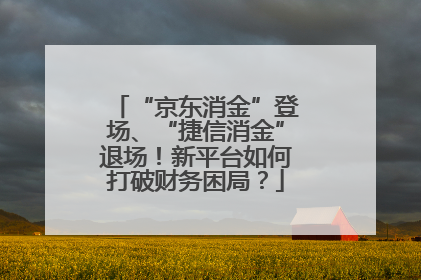 “京东消金”登场、“捷信消金”退场！新平台如何打破财务困局？