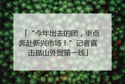 “今年出去的团，重点奔赴新兴市场！”记者直击昆山外贸第一线