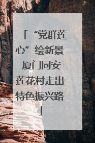 “党群莲心”绘新景 厦门同安莲花村走出特色振兴路