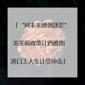 “对未来感到迷茫” 美关税政策让西雅图港口工人生计受冲击