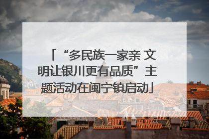 “多民族一家亲 文明让银川更有品质”主题活动在闽宁镇启动