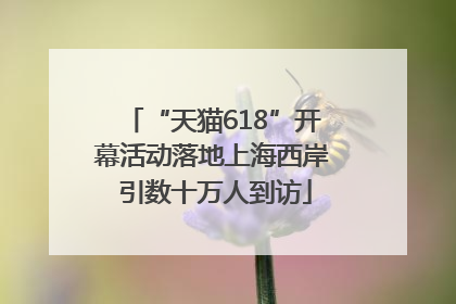 “天猫618”开幕活动落地上海西岸 引数十万人到访