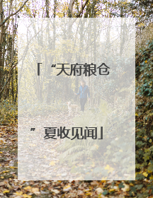 “天府粮仓”夏收见闻