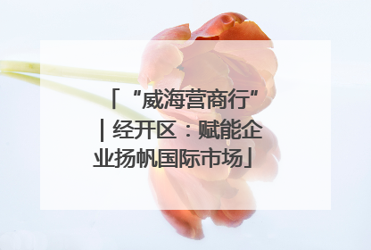 “威海营商行”｜经开区：赋能企业扬帆国际市场