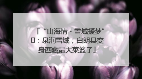 “山海情・雪域援梦”⑪：泉润雪域，白朗县变身西藏最大菜篮子
