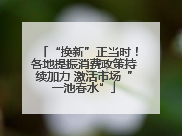 “换新”正当时！各地提振消费政策持续加力 激活市场“一池春水”