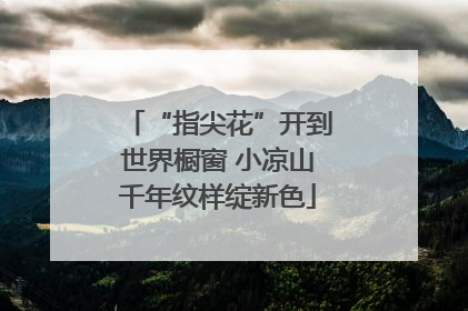 “指尖花”开到世界橱窗 小凉山千年纹样绽新色