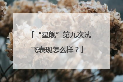 “星舰”第九次试飞表现怎么样？