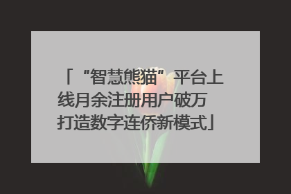 “智慧熊猫”平台上线月余注册用户破万 打造数字连侨新模式