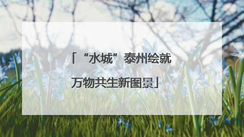 “水城”泰州绘就万物共生新图景