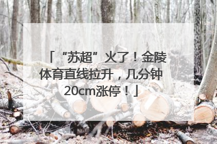 “苏超”火了！金陵体育直线拉升，几分钟20cm涨停！