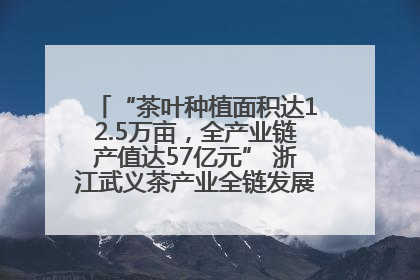 “茶叶种植面积达12.5万亩，全产业链产值达57亿元” 浙江武义茶产业全链发展“加速度”
