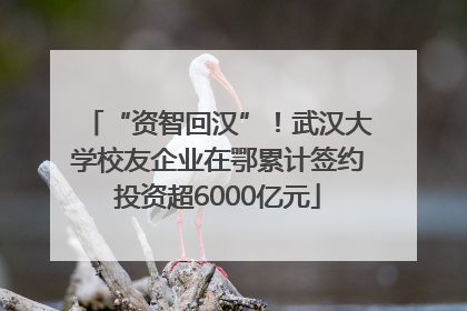 “资智回汉”！武汉大学校友企业在鄂累计签约投资超6000亿元