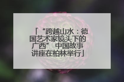 “跨越山水：德国艺术家镜头下的广西” 中国故事讲座在柏林举行