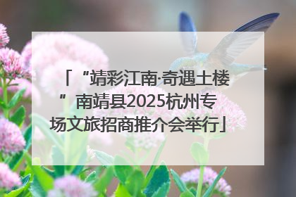 “靖彩江南·奇遇土楼”南靖县2025杭州专场文旅招商推介会举行