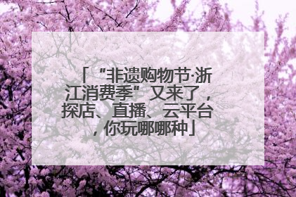 “非遗购物节·浙江消费季”又来了，探店、直播、云平台，你玩哪哪种
