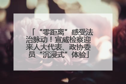 “零距离”感受法治脉动！宣威检察迎来人大代表、政协委员“沉浸式”体验