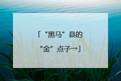 “黑马”县的“金”点子→