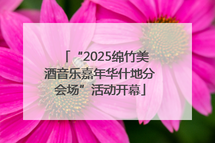 “2025绵竹美酒音乐嘉年华什地分会场”活动开幕