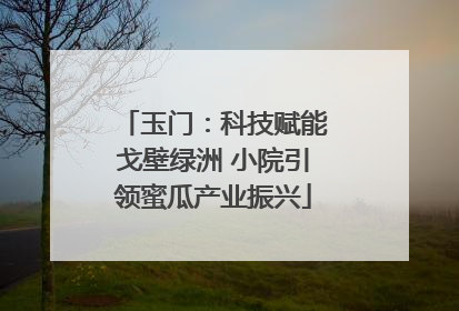 玉门：科技赋能戈壁绿洲 小院引领蜜瓜产业振兴