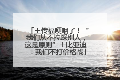 王传福哽咽了！“我们从不拉踩别人，这是原则”！比亚迪：我们不打价格战