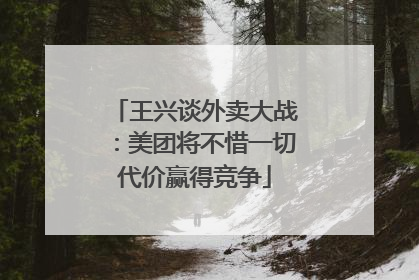 王兴谈外卖大战：美团将不惜一切代价赢得竞争