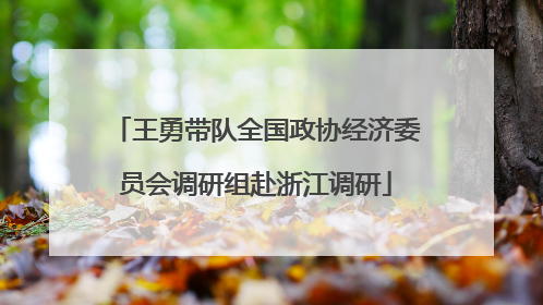 王勇带队全国政协经济委员会调研组赴浙江调研