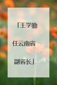 王学勤任云南省副省长