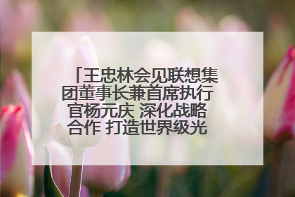 王忠林会见联想集团董事长兼首席执行官杨元庆 深化战略合作 打造世界级光电子信息产业集群