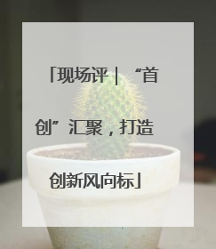 现场评｜“首创”汇聚，打造创新风向标